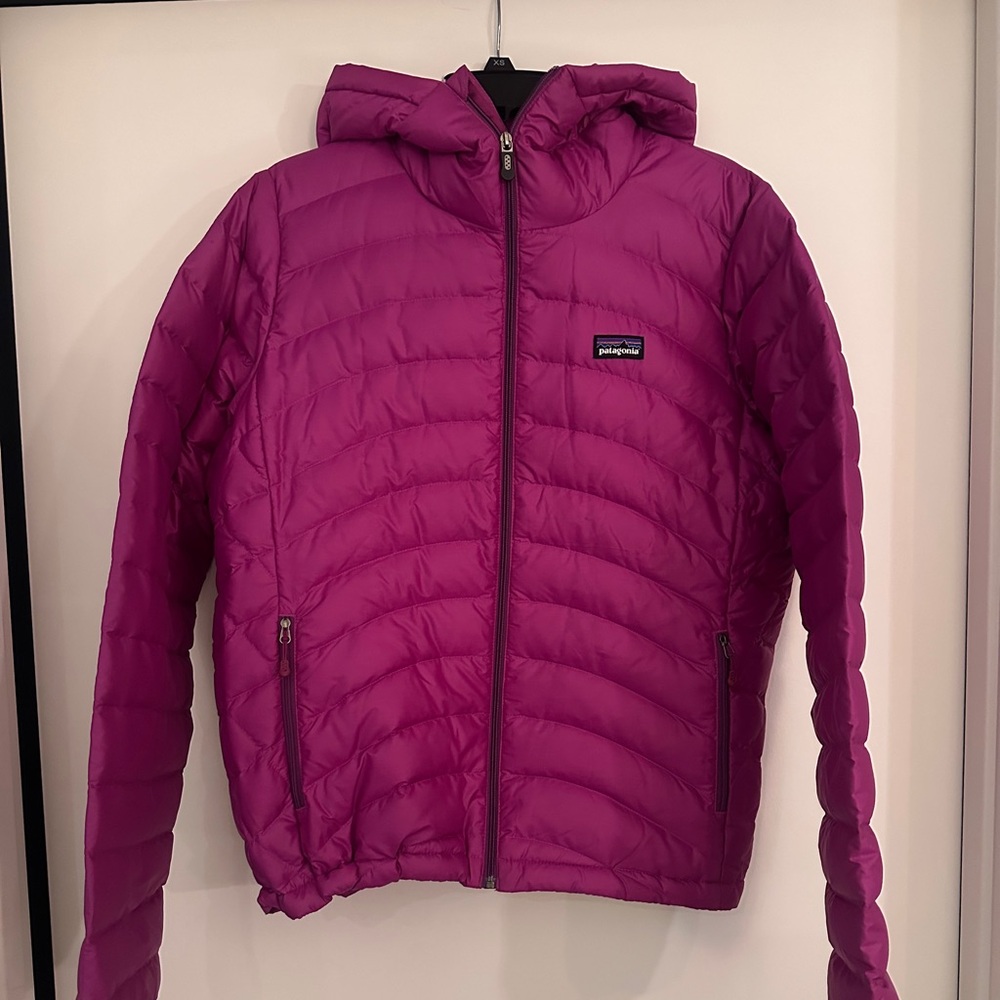 Patagonia Goose Down Hooded Puffer Jacket
